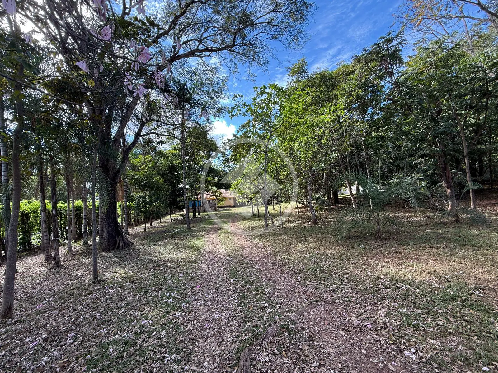 Imagem 6 - Casa Condomínio em Condomínio MiraFlores, Hidrolândia - GO