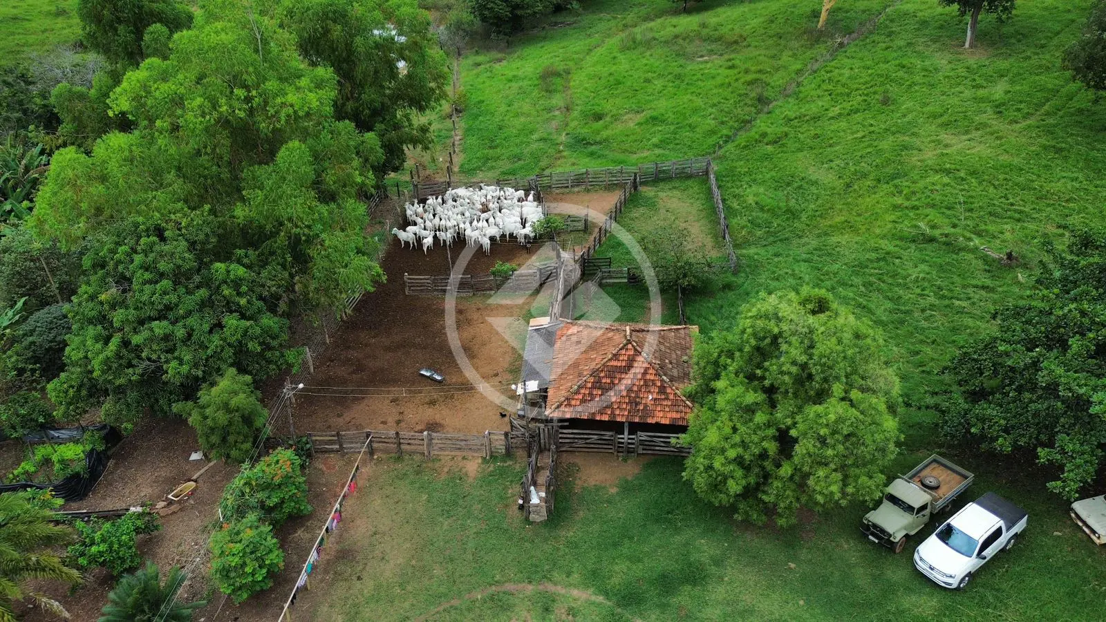 Imagem 6 - Fazenda em Zona Rural, Caldazinha - GO