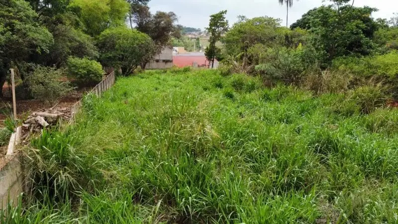 Imagem 3 - Terreno em Setor Vila Grimpas- Centro, Hidrolândia - GO