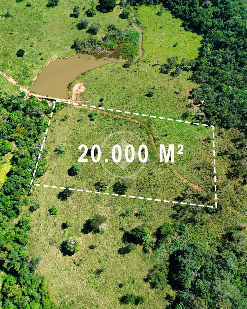 Imagem 4 - Chácara em Zona Rural Hidrolandia, Hidrolândia - GO