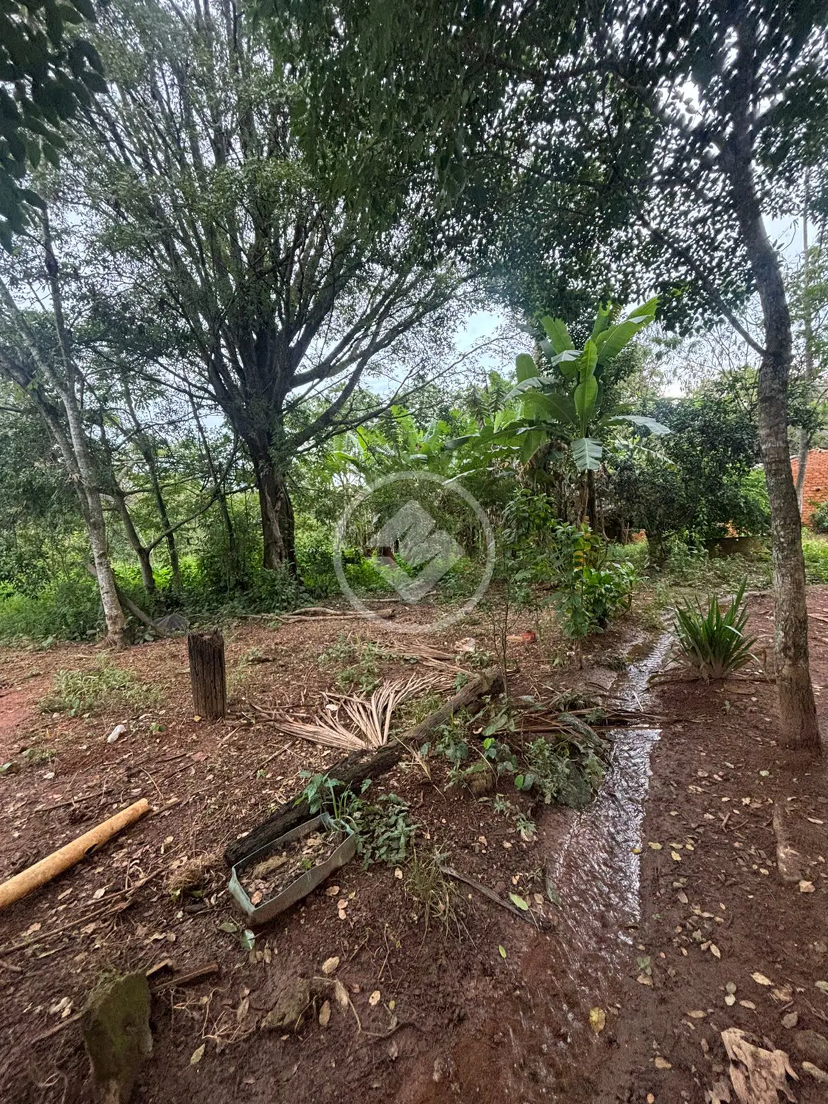 Imagem 6 - Chácara em Triângulo 03, Hidrolândia - GO