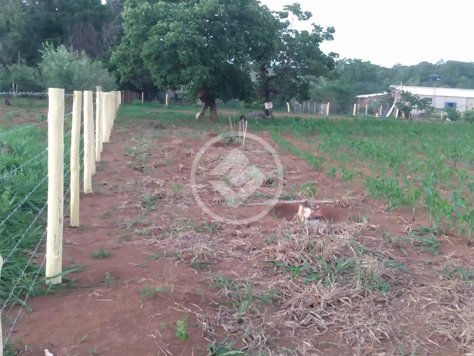 Imagem 2 - Chácara em Zona Rural, Hidrolândia - GO