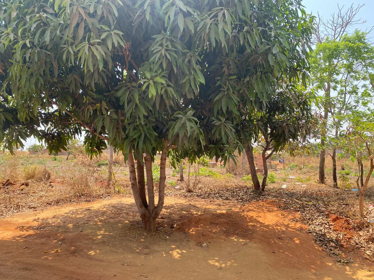 Imagem 3 - Terreno em Garavelo Sul, Hidrolândia - GO