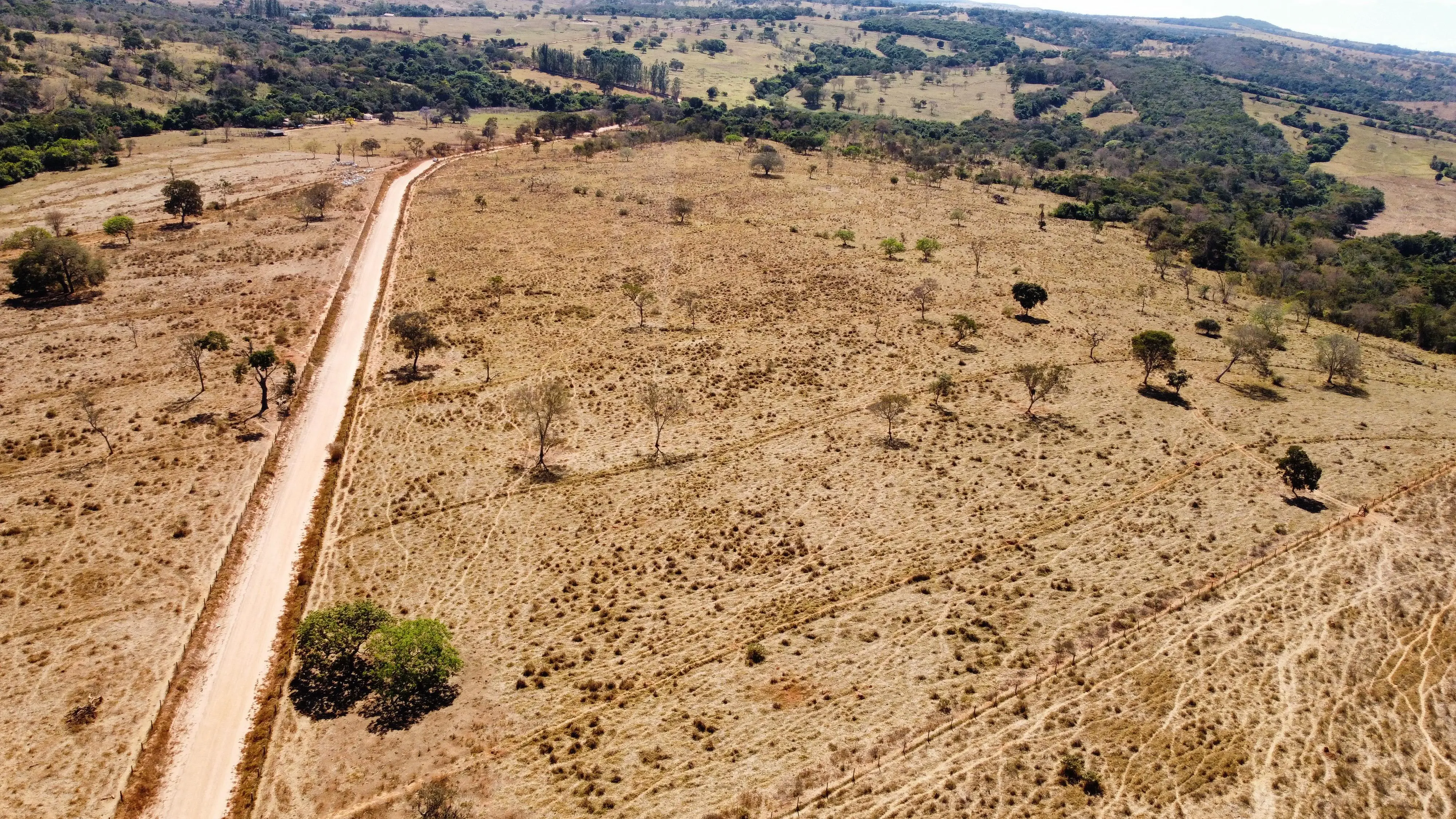 Imagem 3 - Fazenda em Zona Rural, Hidrolândia - GO