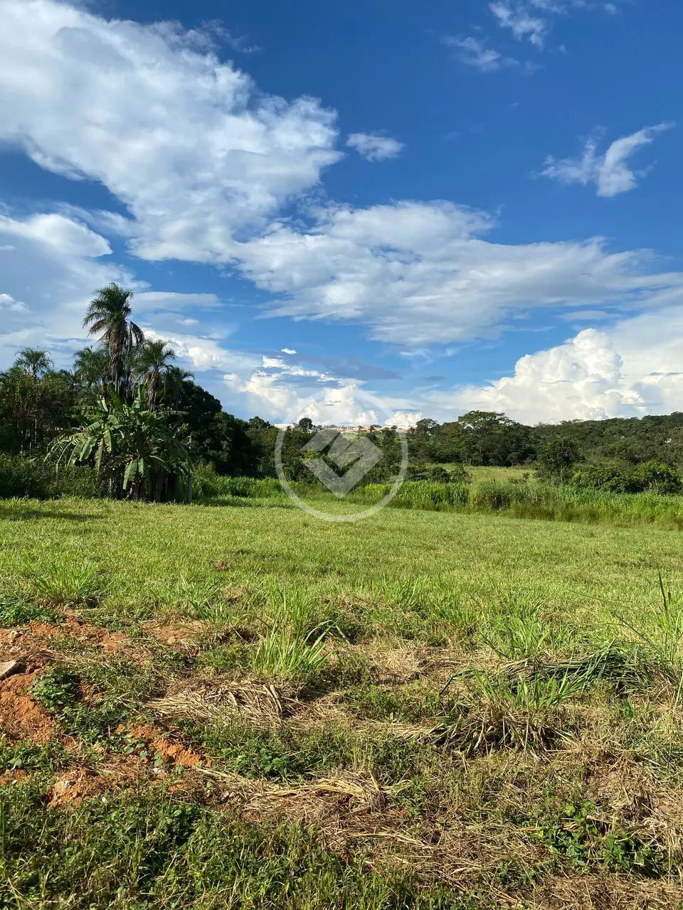 Imagem 5 - Terreno em Setor Centro, Hidrolândia - GO
