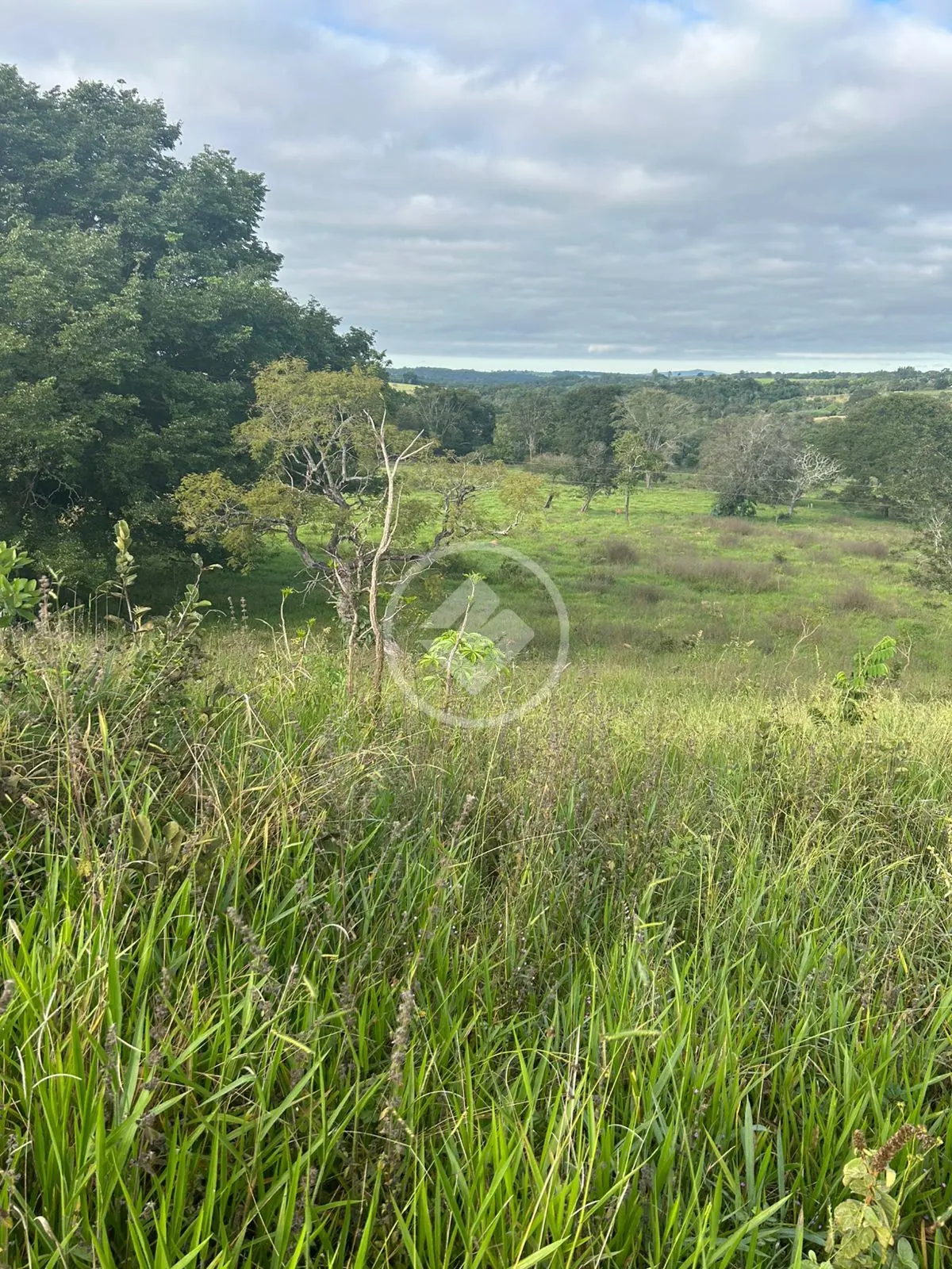 Imagem 2 - Chácara em Zona Rural Hidrolandia, Hidrolândia - GO