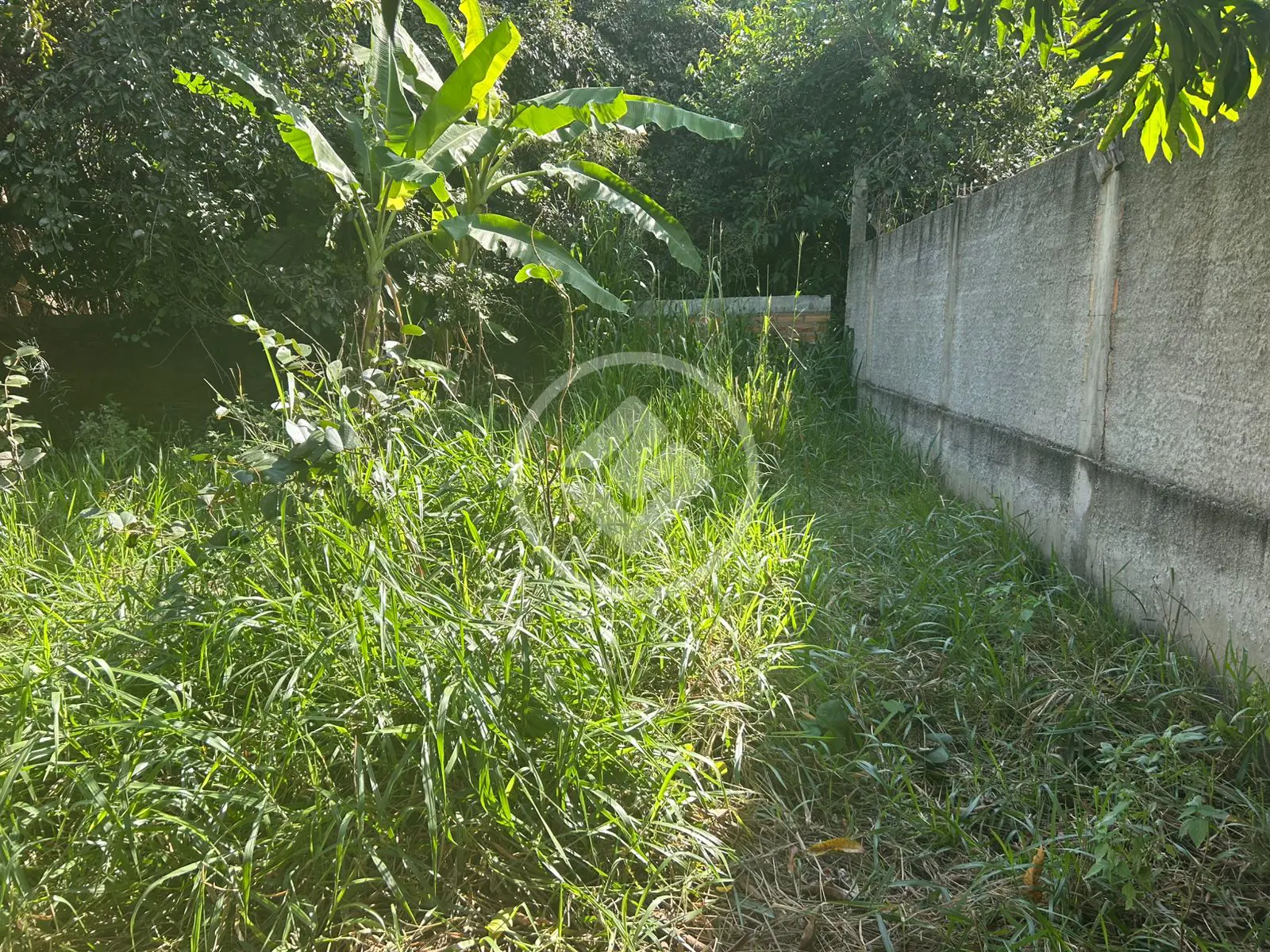 Image 11 - Terreno em Setor Santa Bárbara, Hidrolândia - GO