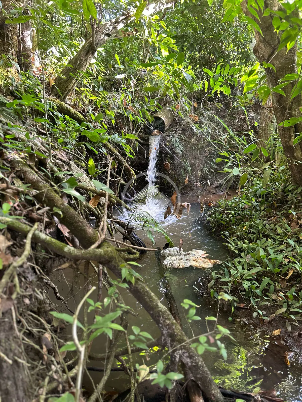 Chácara Zona Rural Hidrolandia, Hidrolândia - GO — foto 1