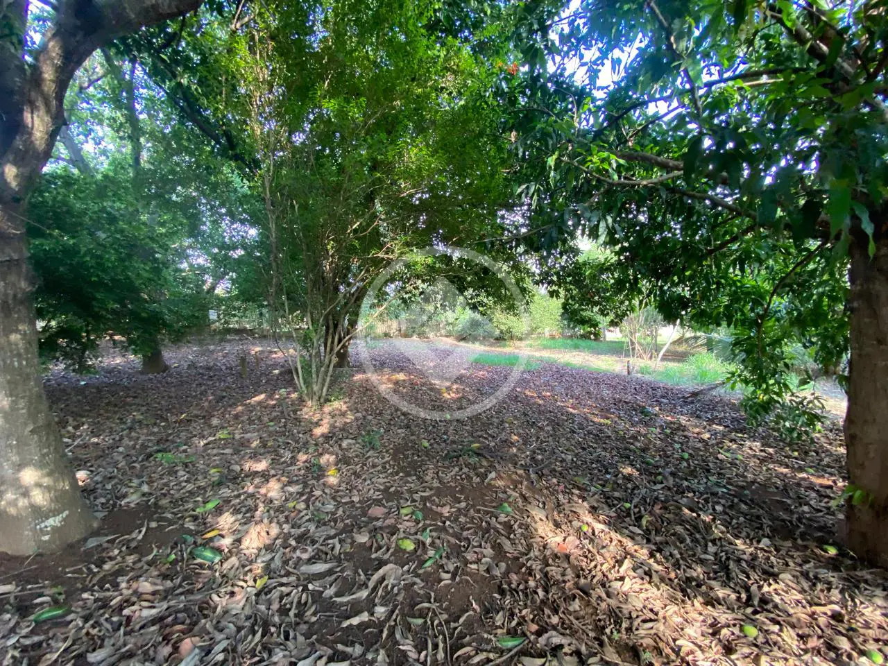 Imagem 3 - Terreno Condomínio em Condomínio Cidade das Águas, Hidrolândia - GO