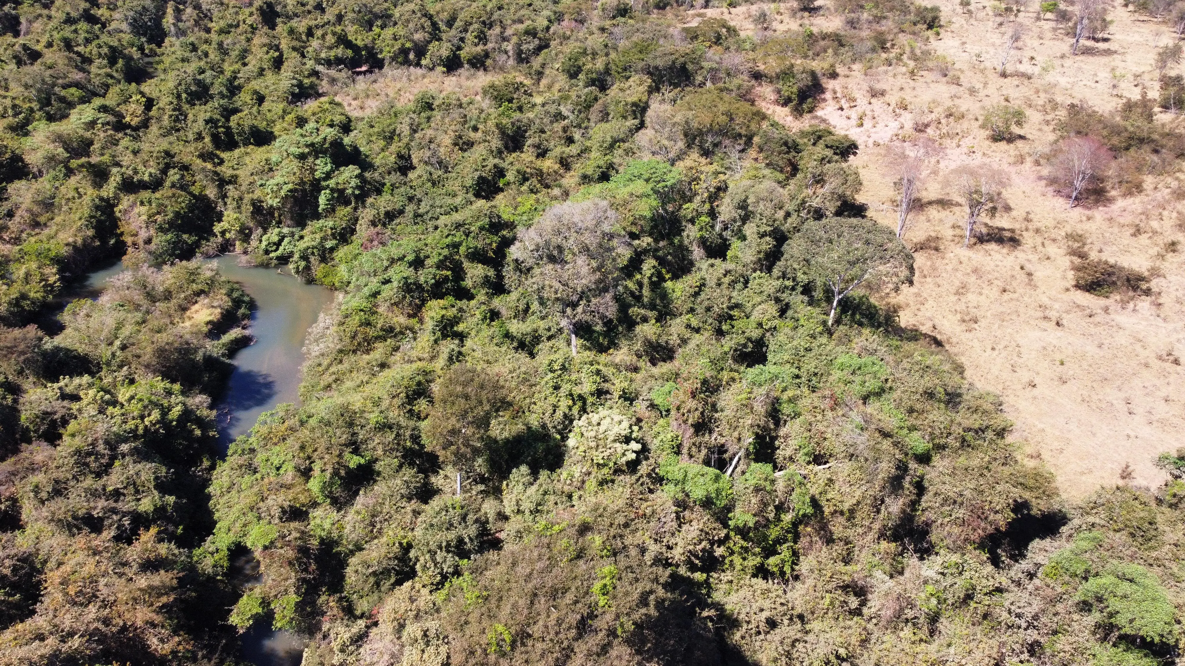 Fazenda Zona Rural, Hidrolândia - GO — foto 2