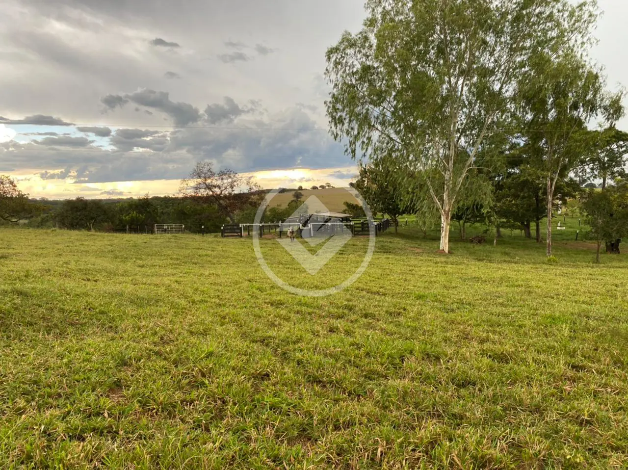 Imagem 4 - Fazenda em Chácara em Hidrolândia, Hidrolândia - GO