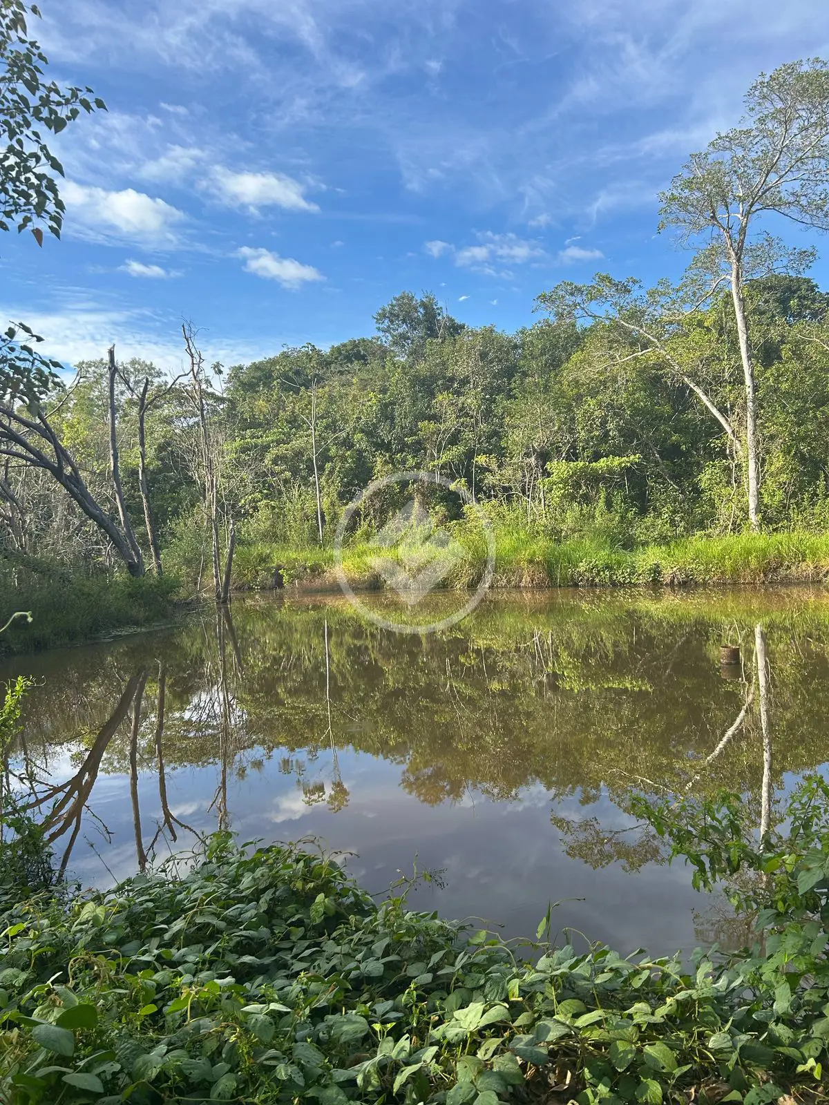 Image 15 - Chácara em Zona Rural Hidrolandia, Hidrolândia - GO