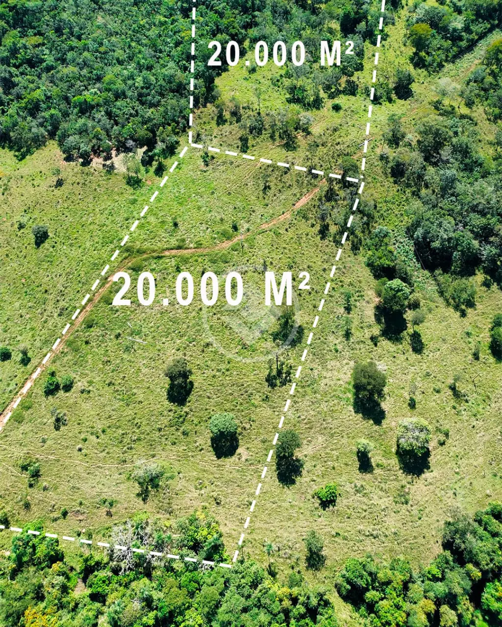 Image 10 - Chácara em Zona Rural Hidrolandia, Hidrolândia - GO