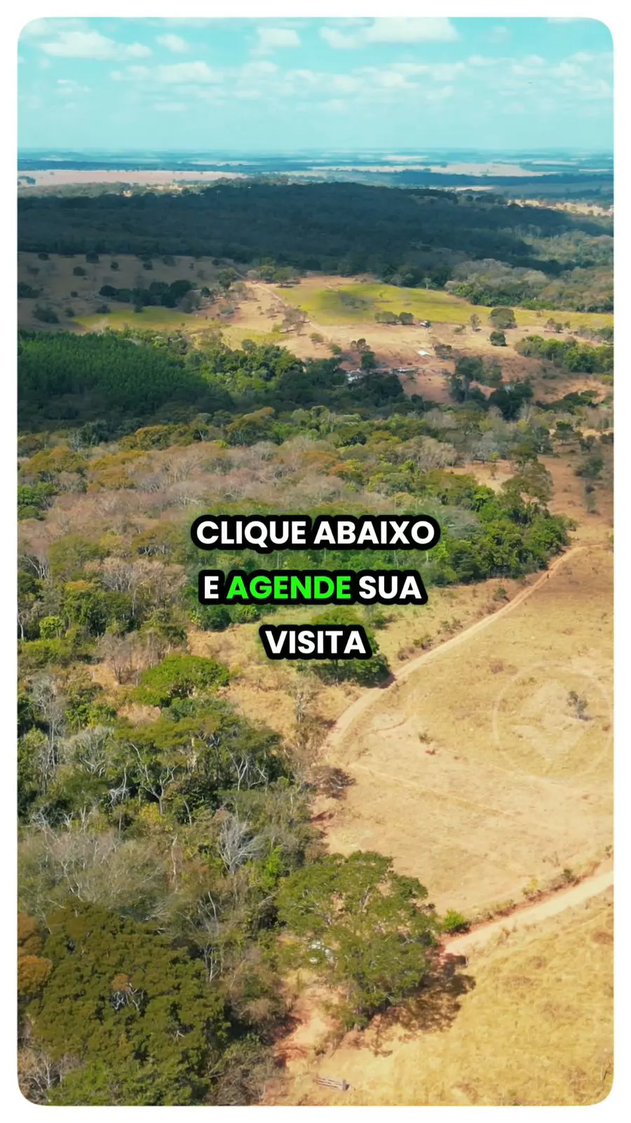 Sítio Área Rural de Aparecida de Goiânia, Aparecida de Goiânia - GO — foto 2