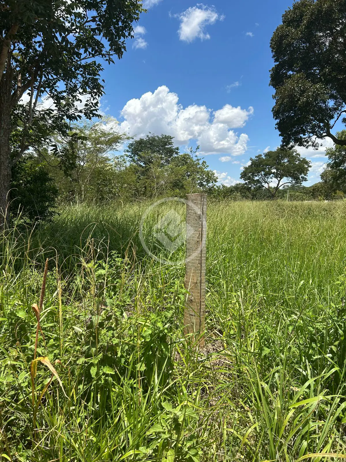 Imagem 4 - Chácara em Zona Rural, Hidrolândia - GO