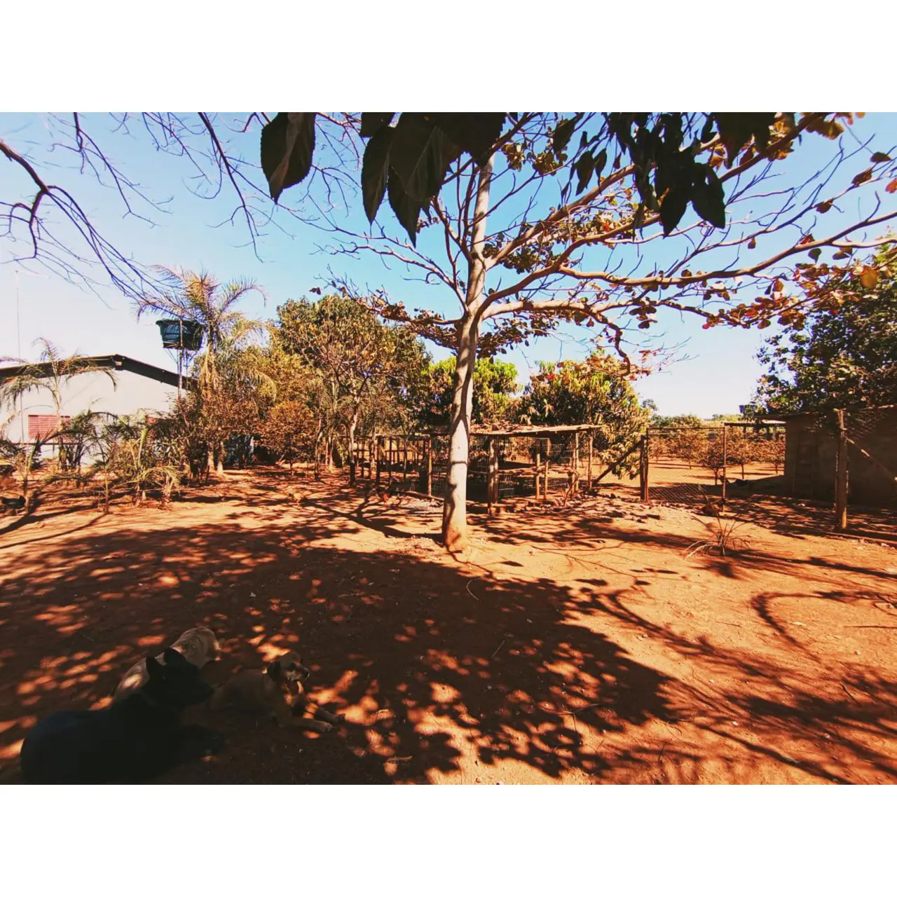 Casa Mansões Riviera Parque, Hidrolândia - GO — foto 2