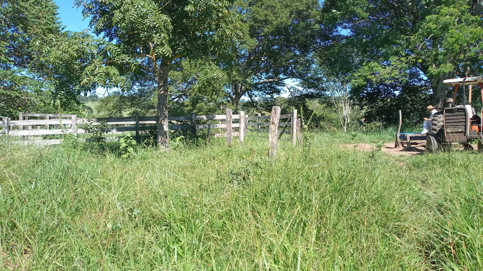Image 10 - Fazenda em Zona Rural, Hidrolândia - GO