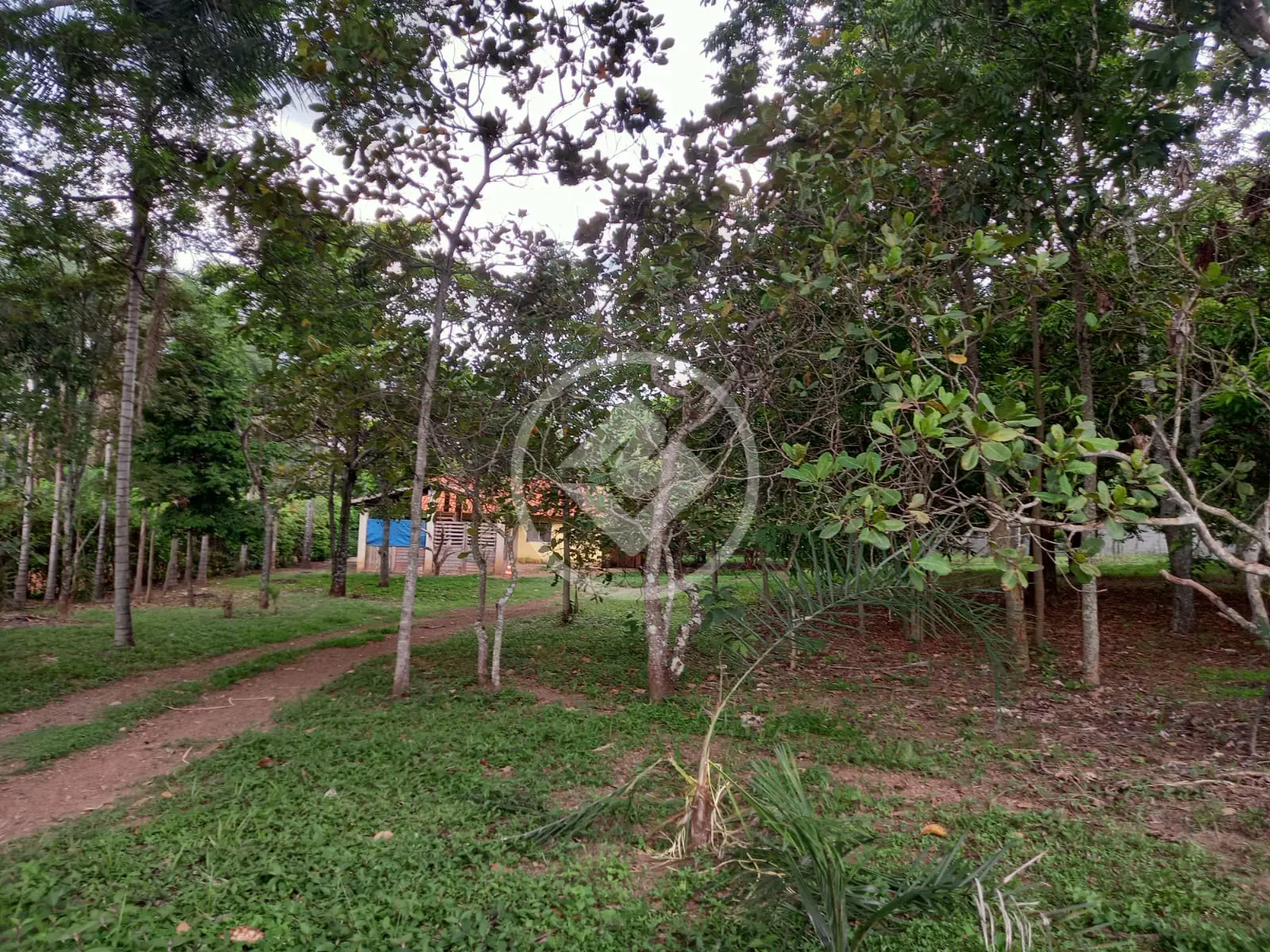 Imagem 3 - Casa Condomínio em Condomínio MiraFlores, Hidrolândia - GO