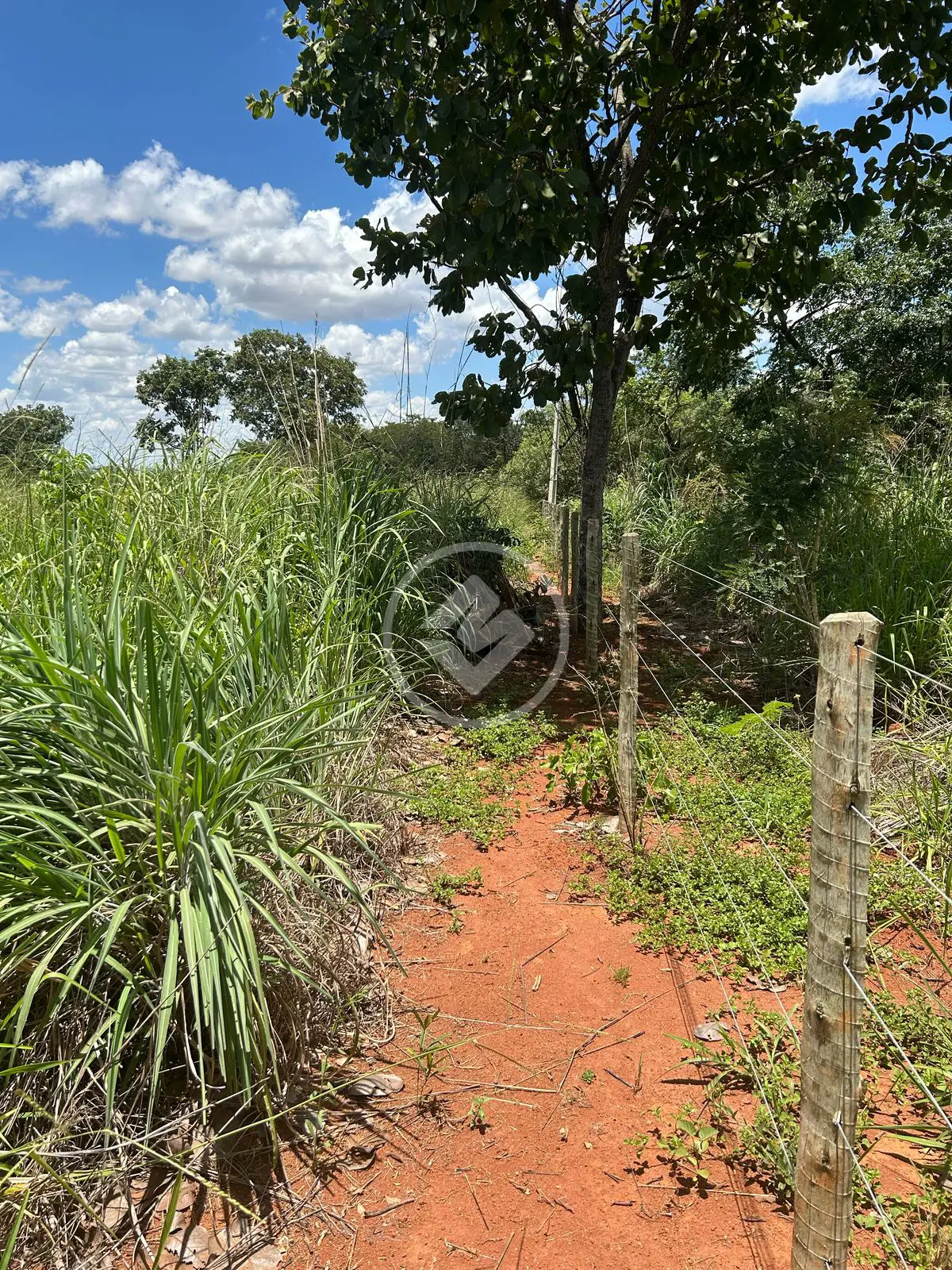 Imagem 3 - Chácara em Zona Rural, Hidrolândia - GO