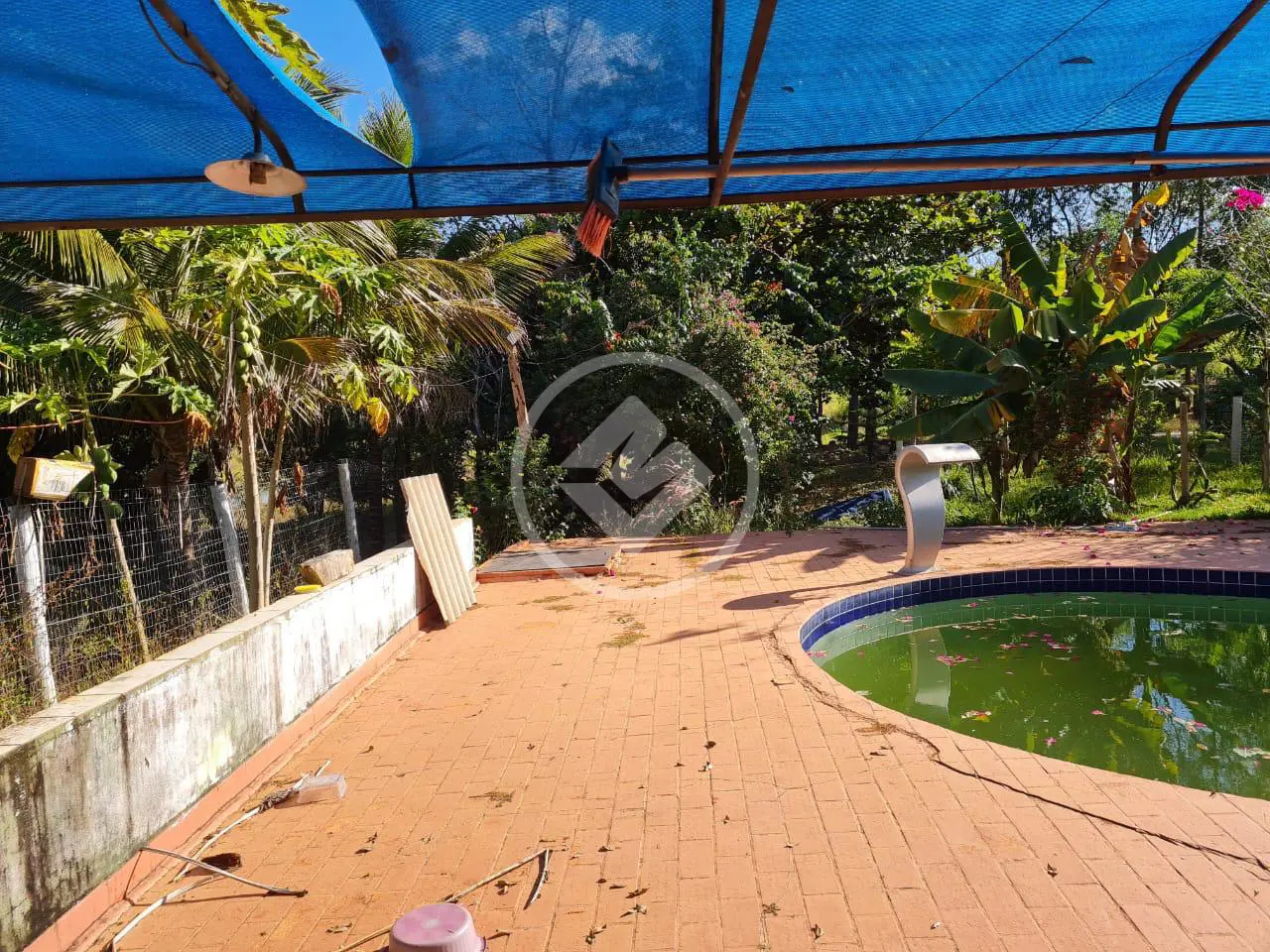 Imagem 2 - Chácara em Zona Rural, Professor Jamil - GO