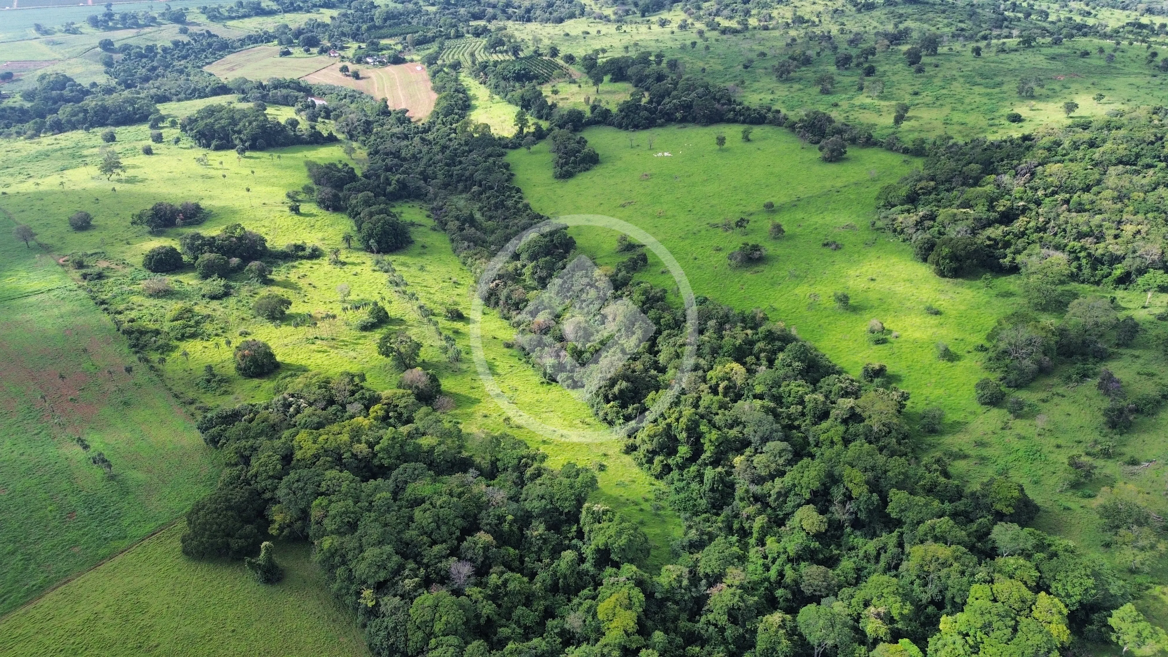 Imagem 6 - Fazenda em Área Rural de Anápolis, Anápolis - GO