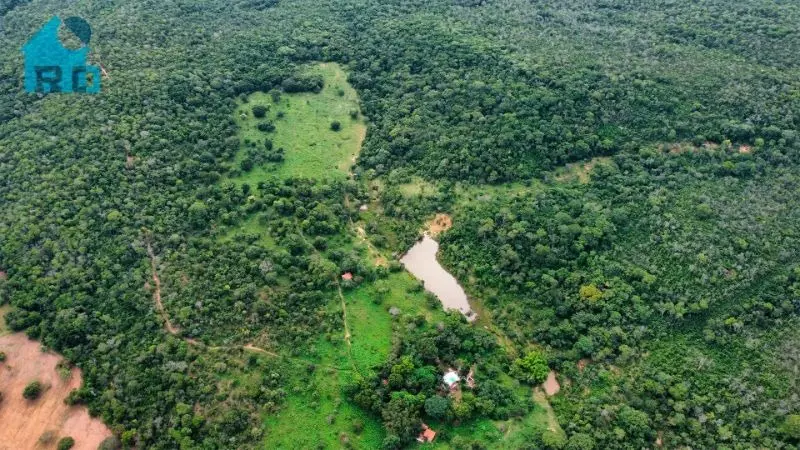 Imagem 4 - Fazenda em Zona Rural, Hidrolândia - GO