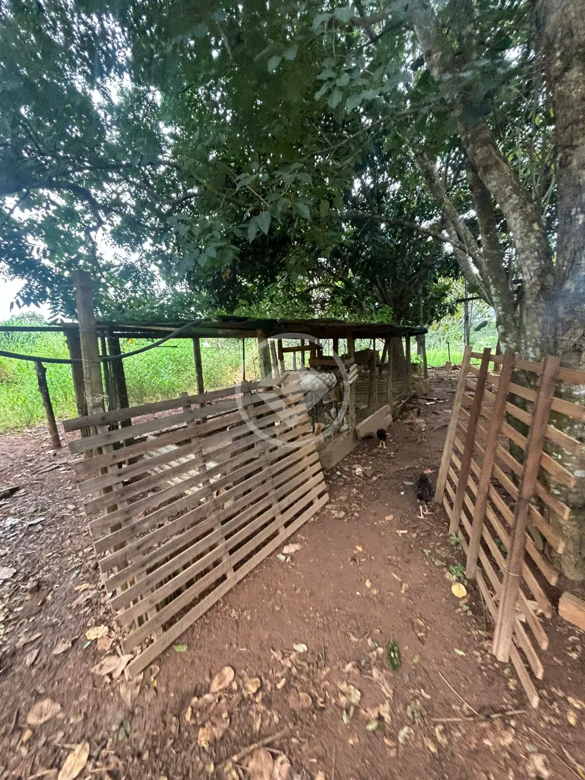 Imagem 3 - Chácara em Triângulo 03, Hidrolândia - GO