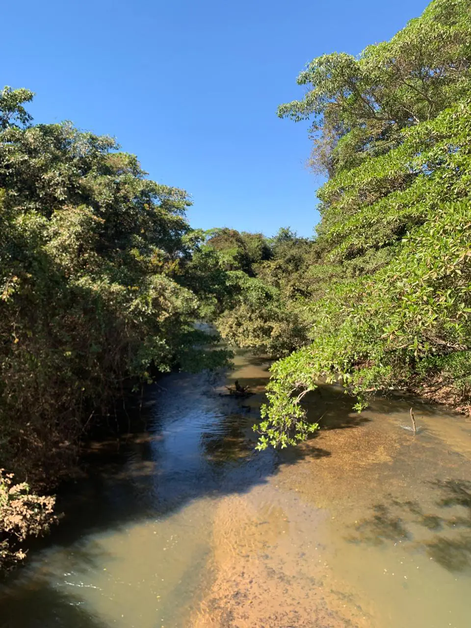 Imagem 2 - Fazenda em Zona Rural, Hidrolândia - GO