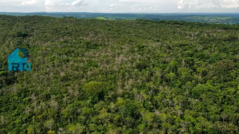 Imagem 5 - Fazenda em Zona Rural, Hidrolândia - GO