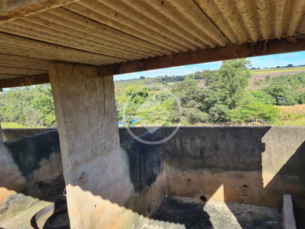 Imagem 5 - Chácara em Zona Rural, Professor Jamil - GO