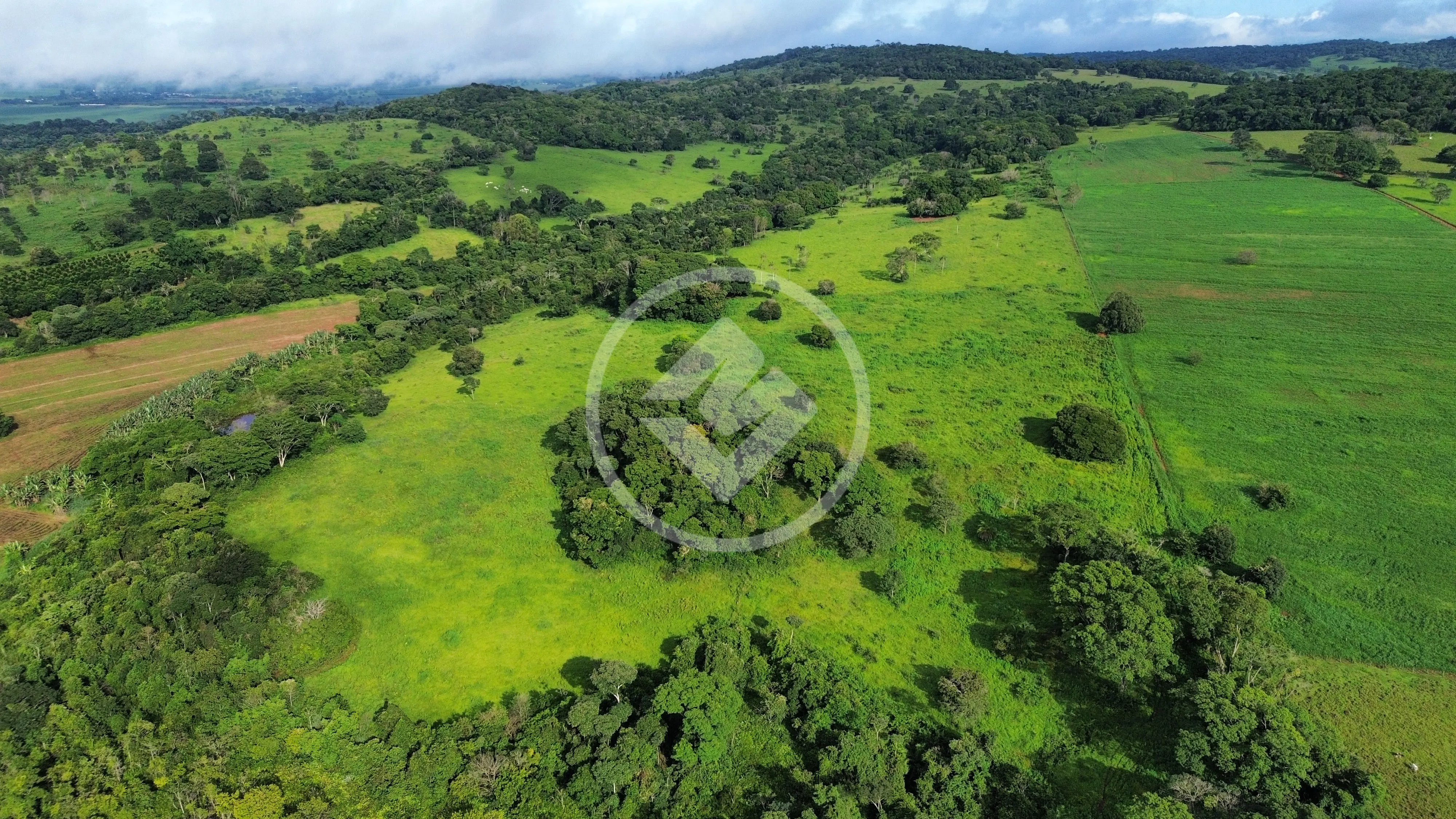 Fazenda Área Rural de Anápolis, Anápolis - GO — foto 2