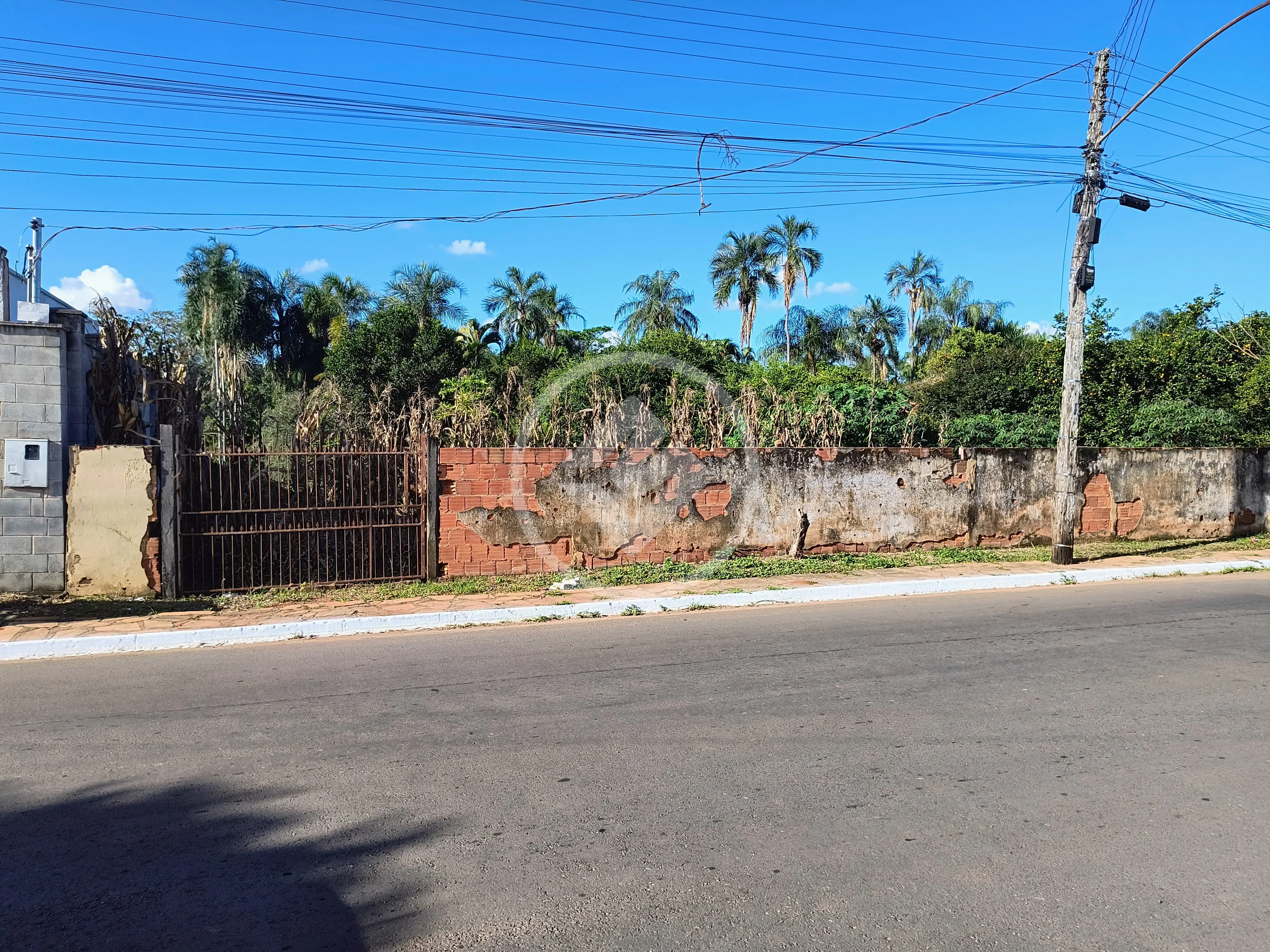 Imagem 4 - Chácara em Vila Grimpas, Hidrolândia - GO