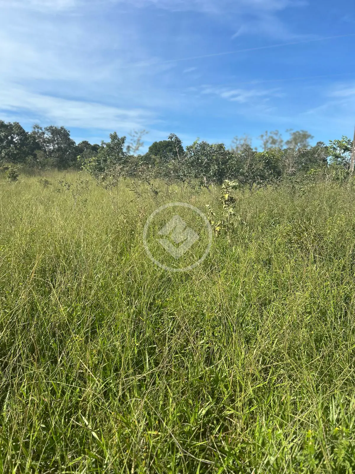 Imagem 5 - Chácara em Zona Rural Hidrolandia, Hidrolândia - GO