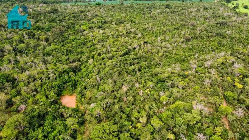 Imagem 3 - Fazenda em Zona Rural, Hidrolândia - GO