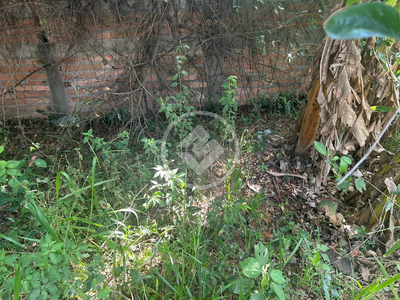 Imagem 3 - Terreno em Setor Santa Bárbara, Hidrolândia - GO
