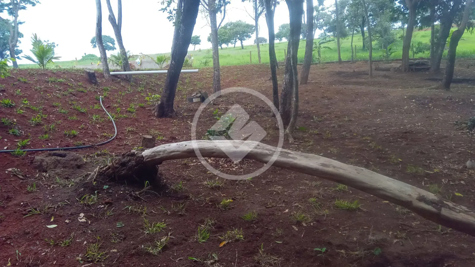 Imagem 2 - Fazenda em Chácara em Hidrolândia, Hidrolândia - GO