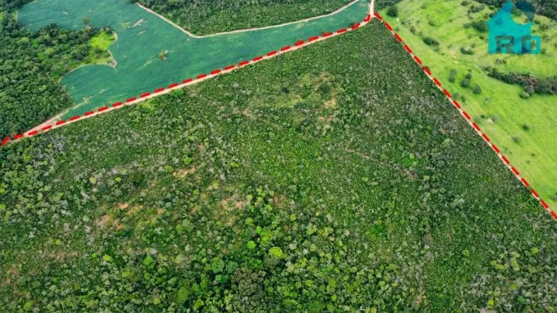 Imagem 2 - Fazenda em Zona Rural, Hidrolândia - GO