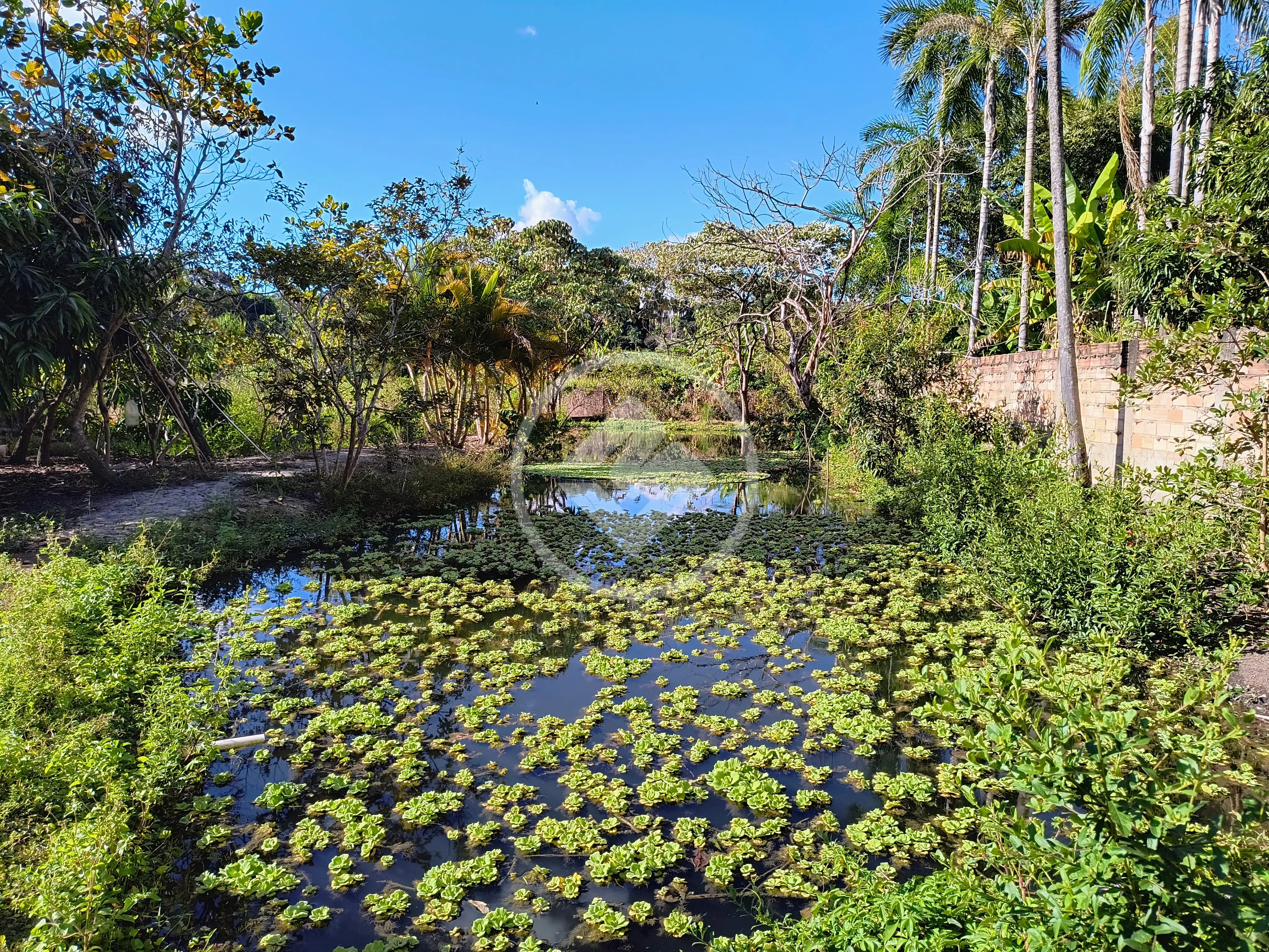 Imagem 5 - Chácara em Vila Grimpas, Hidrolândia - GO