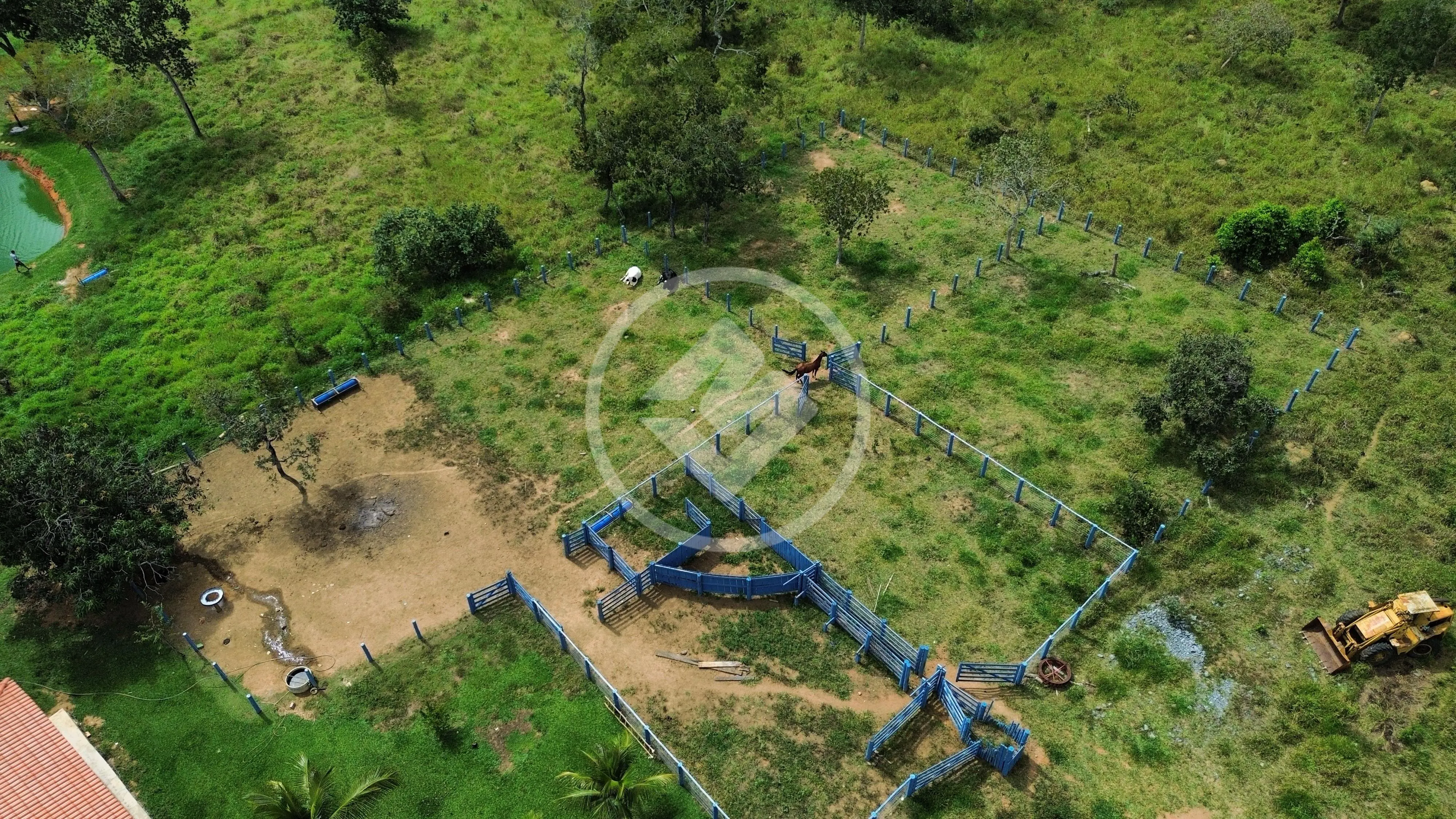 Imagem 5 - Fazenda em Zona Rural Hidrolandia, Hidrolândia - GO