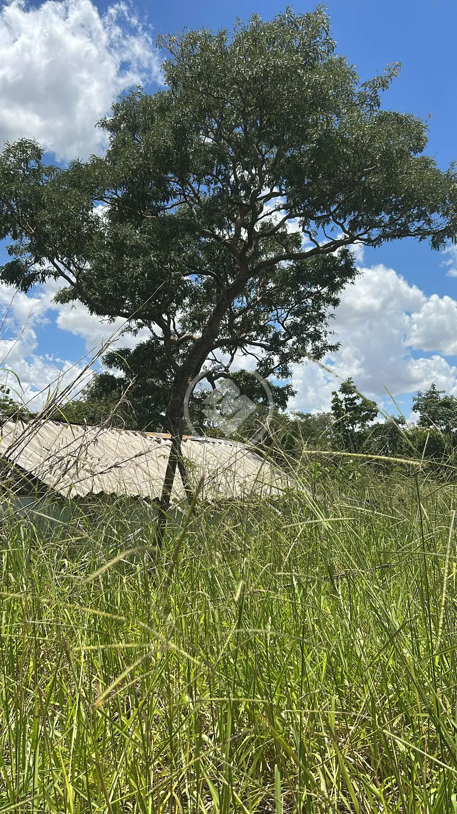 Imagem 1 - Chácara em Zona Rural, Hidrolândia - GO