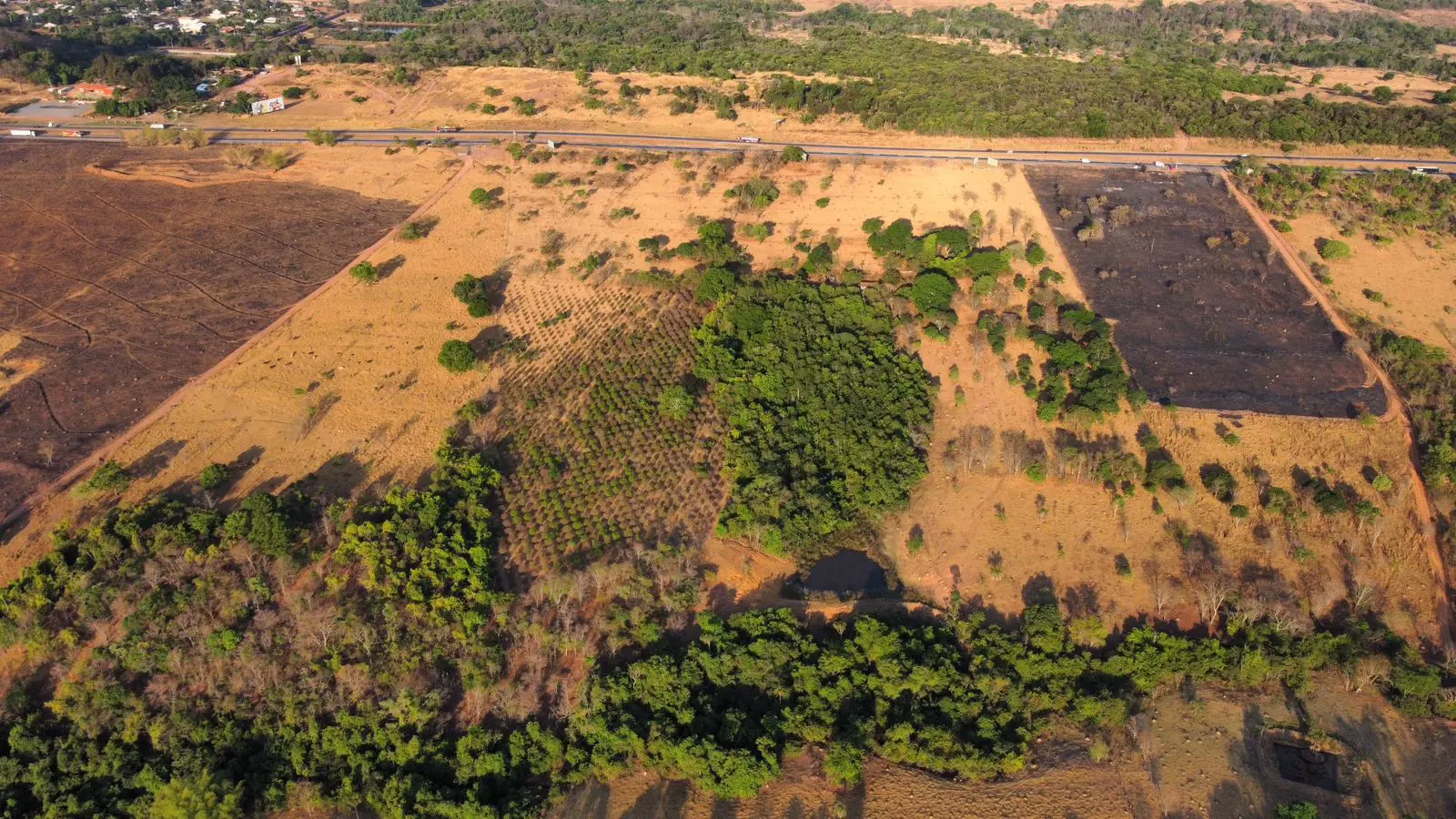 Imagem 3 - Fazenda em Zona Rural, Hidrolândia - GO