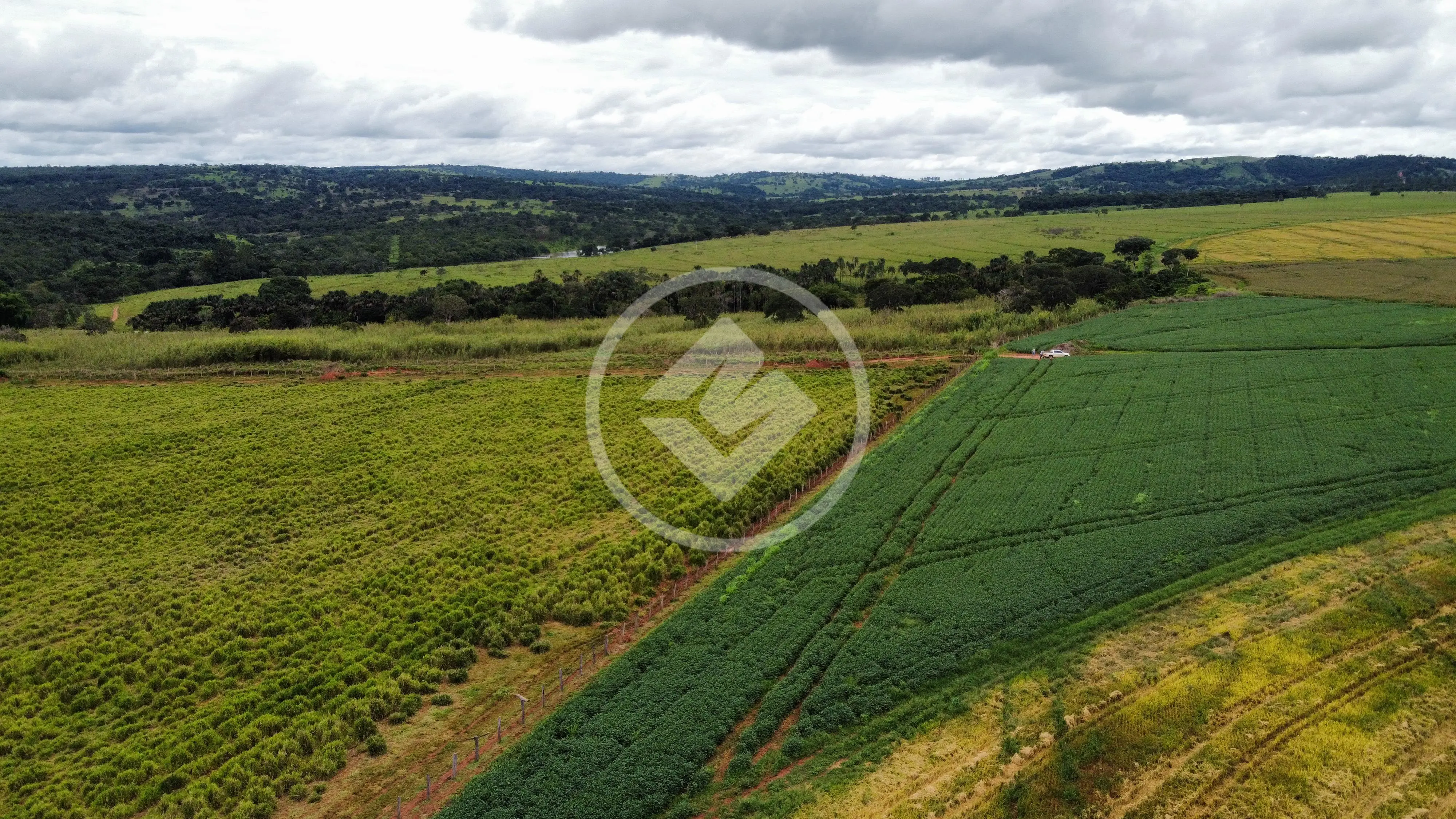 Imagem 6 - Fazenda em Zona Rural, Hidrolândia - GO
