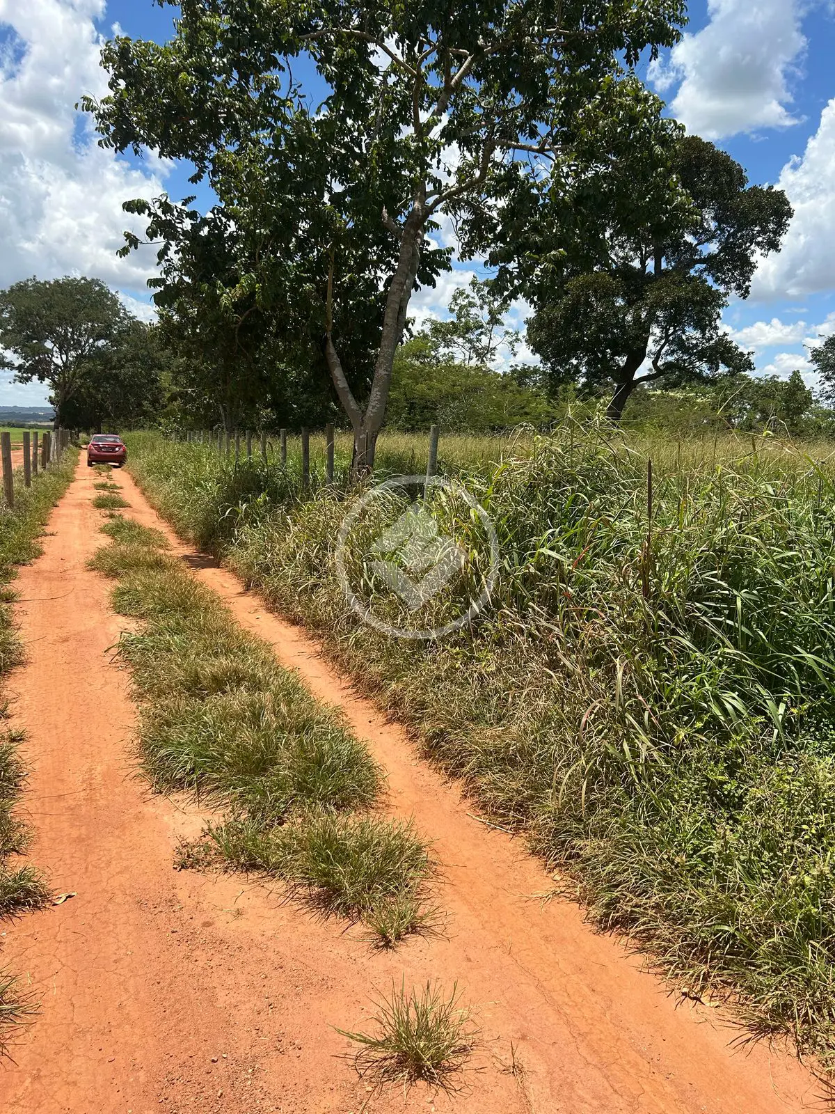 Imagem 2 - Chácara em Zona Rural, Hidrolândia - GO