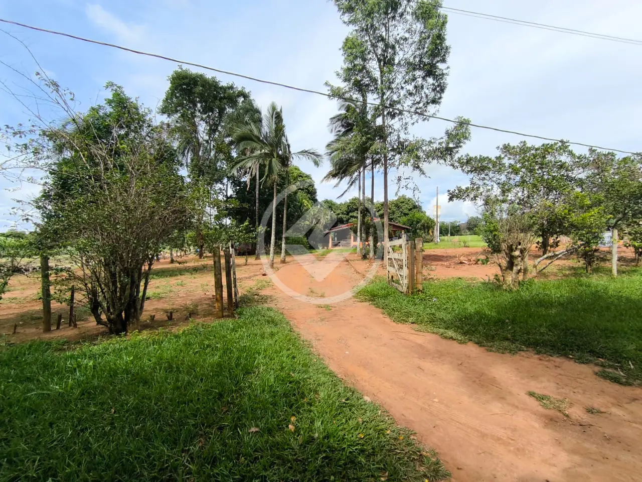Imagem 6 - Chácara em Triângulo 03, Hidrolândia - GO
