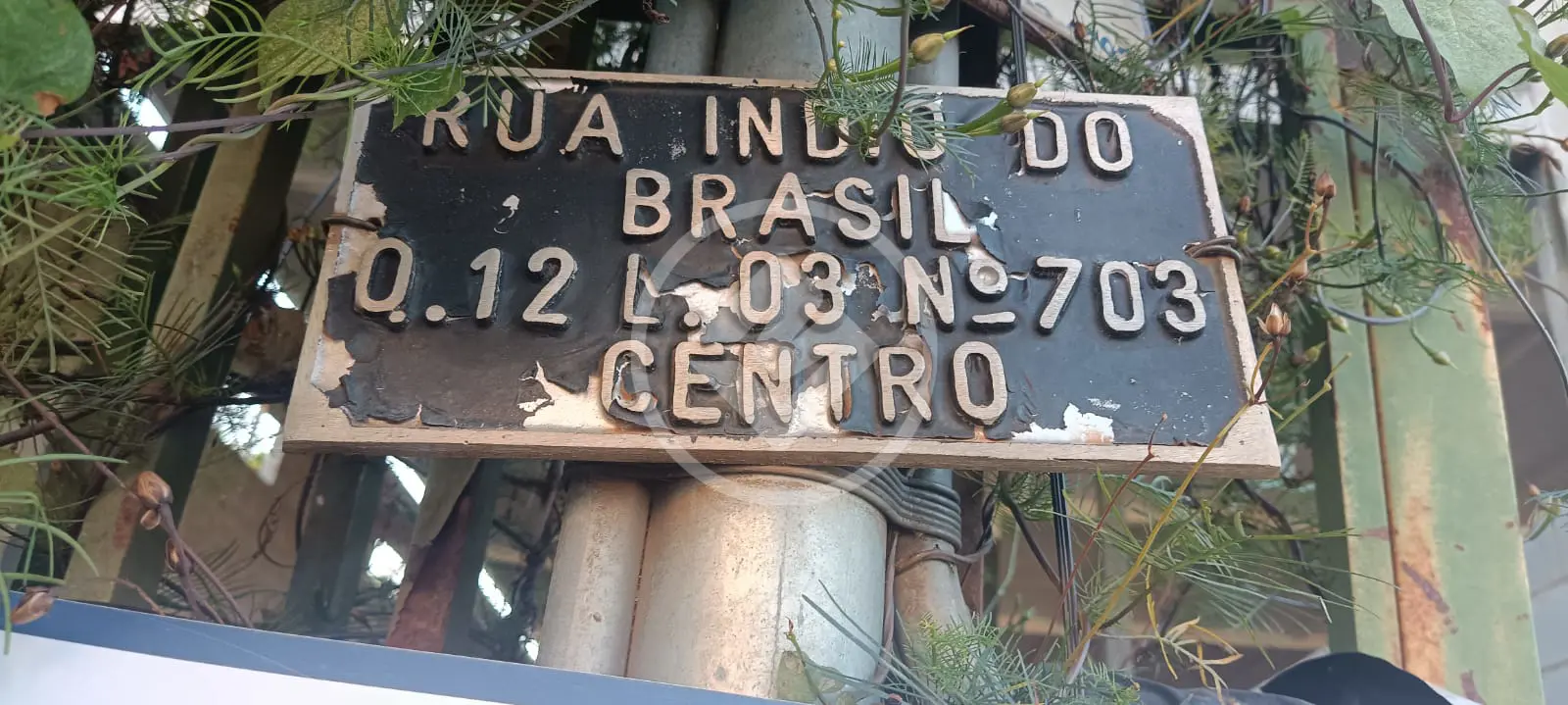 Imagem 3 - Galpão em Centro, Hidrolândia - GO