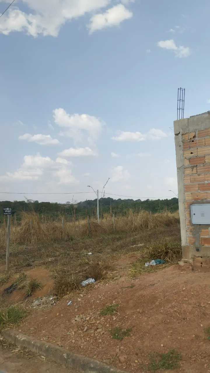 Imagem 3 - Terreno em Parque Benjamim, Hidrolândia - GO