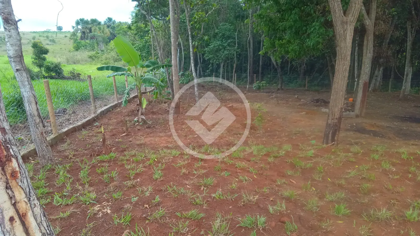 Imagem 5 - Fazenda em Chácara em Hidrolândia, Hidrolândia - GO