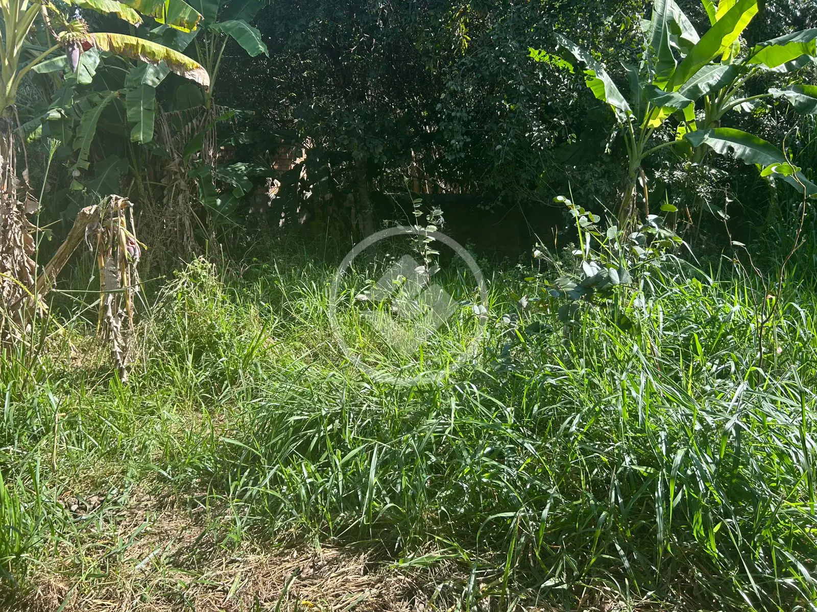 Imagem 6 - Terreno em Setor Santa Bárbara, Hidrolândia - GO