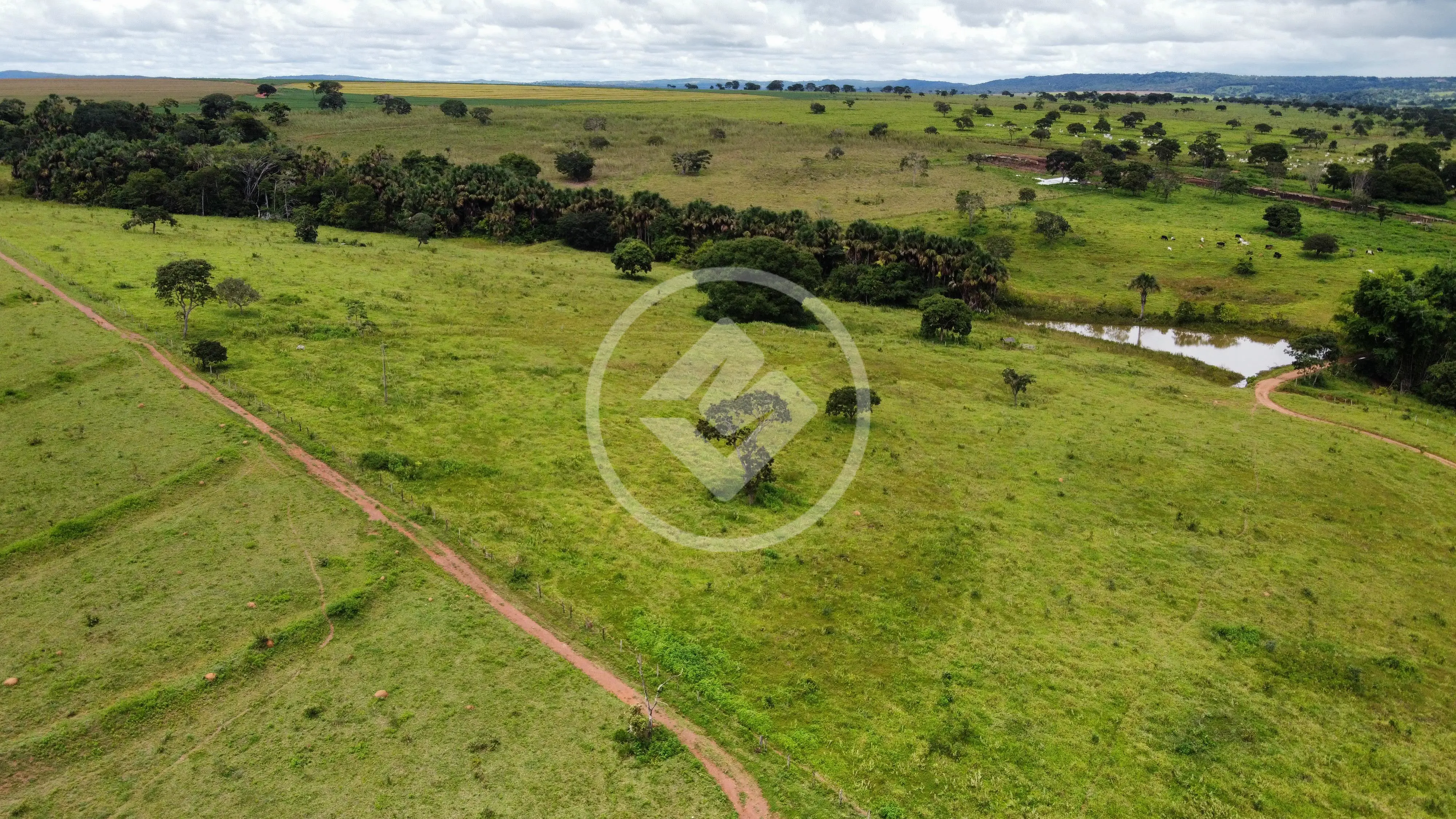 Fazenda Zona Rural, Hidrolândia - GO — foto 1