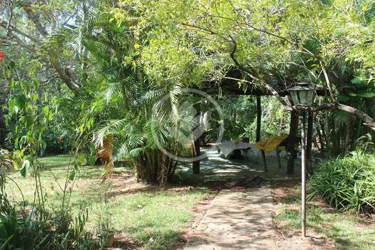 Imagem 4 - Fazenda em Zona Rural, Hidrolândia - GO